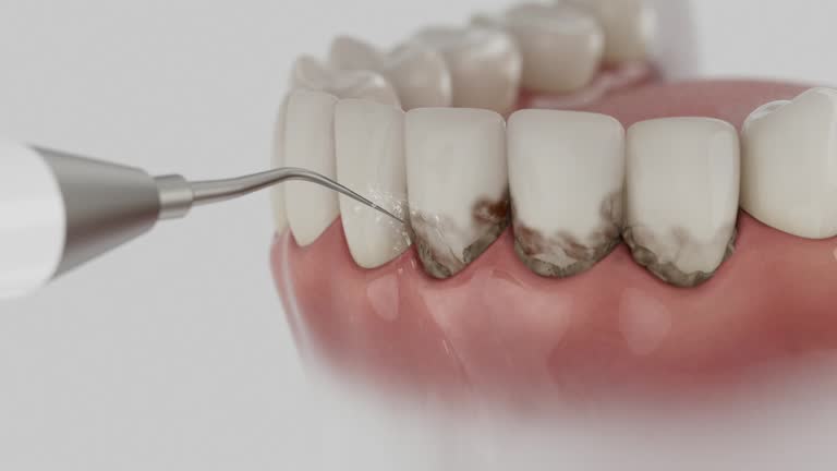 Reliable Dental contractor in Central Garage, VA by Dentist Open Now